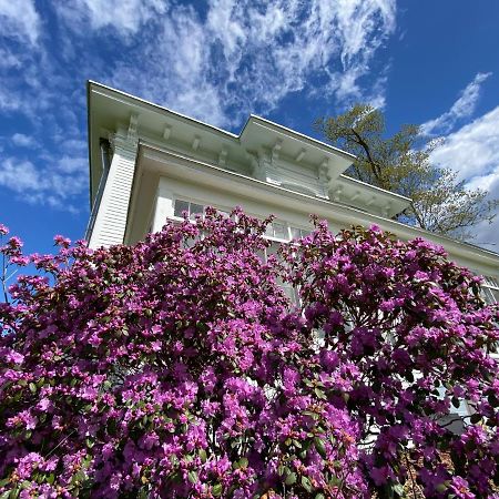 Bloom Farm Guesthouse Mount Vision Luaran gambar