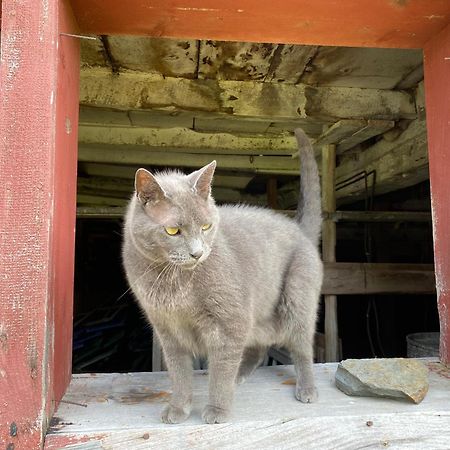 Bloom Farm Guesthouse Mount Vision Luaran gambar