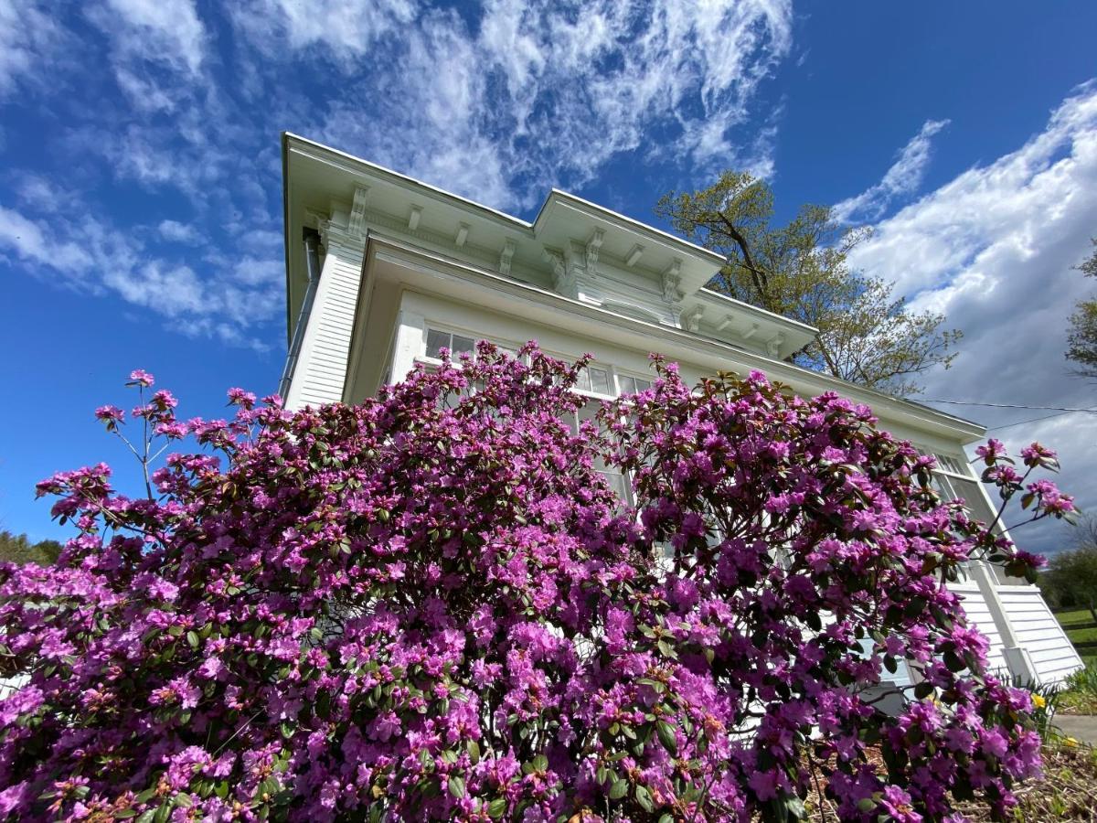 Bloom Farm Guesthouse Mount Vision Luaran gambar