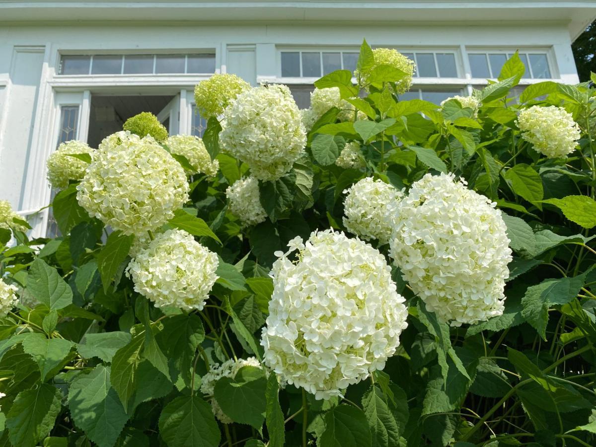 Bloom Farm Guesthouse Mount Vision Luaran gambar