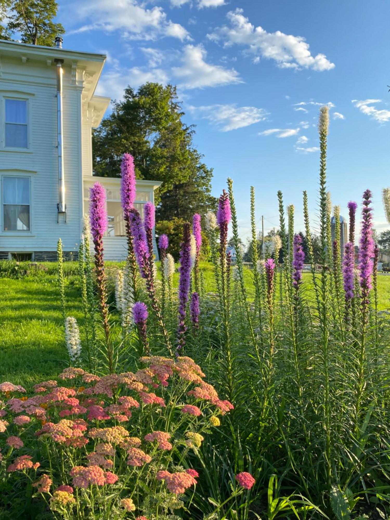 Bloom Farm Guesthouse Mount Vision Luaran gambar